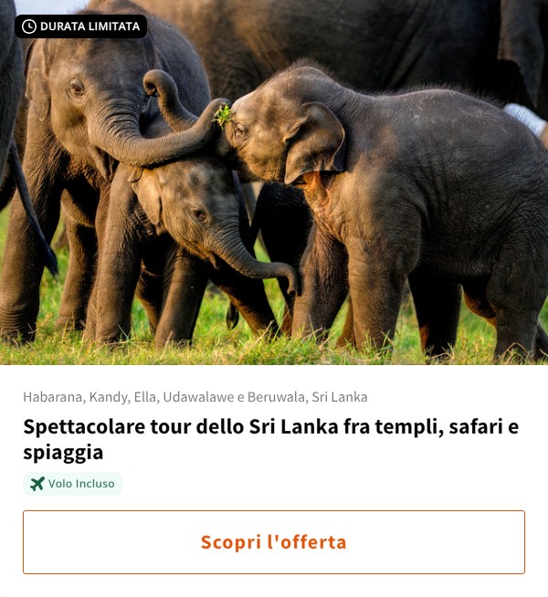 Spettacolare tour dello Sri Lanka fra templi, safari e spiaggia