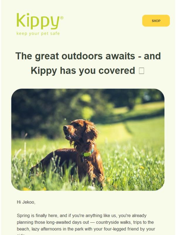 ⏳Last chance - 30% off all Kippy devices