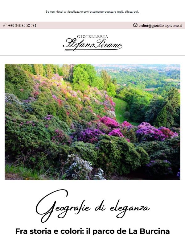 Geografie di eleganza 🪻