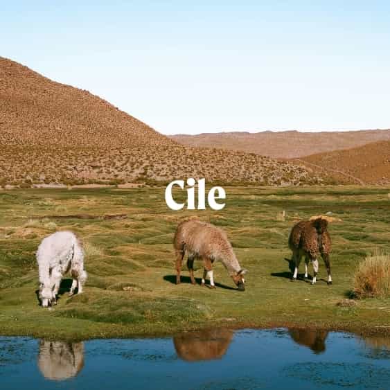 Cile