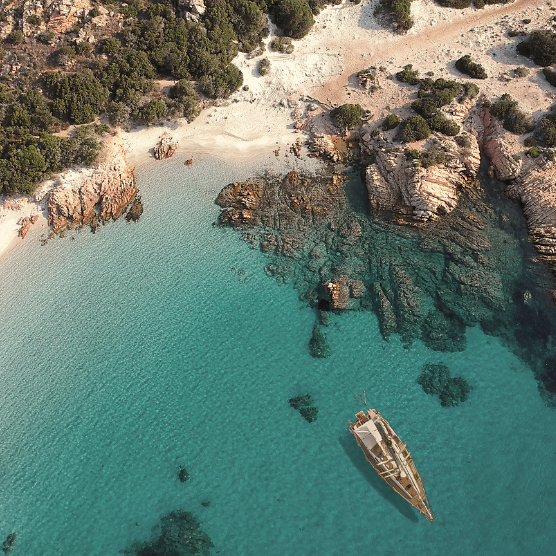 If image islinked, link description goes here - otherwise delete this text