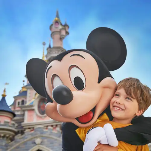 Activity image: Biglietto di 1 giorno per Disneyland® Paris