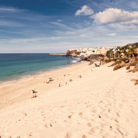 If image islinked, link description goes here - otherwise delete this text