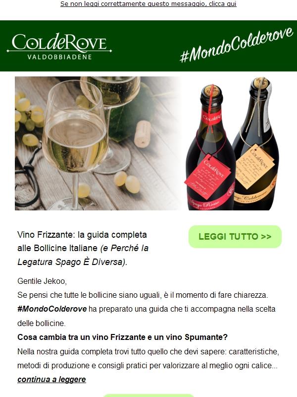 🥂Vini Frizzanti Vs Vini Spumanti