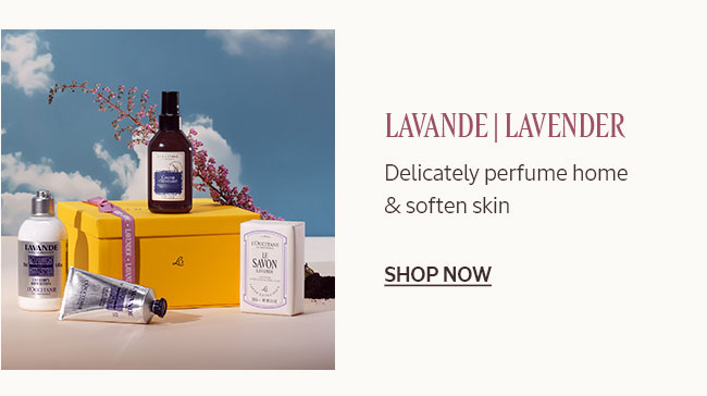 LAVENDE | LAVENDER | DELICATELY PERFUME HOME & SOFTEN SKIN | SHOP NOW