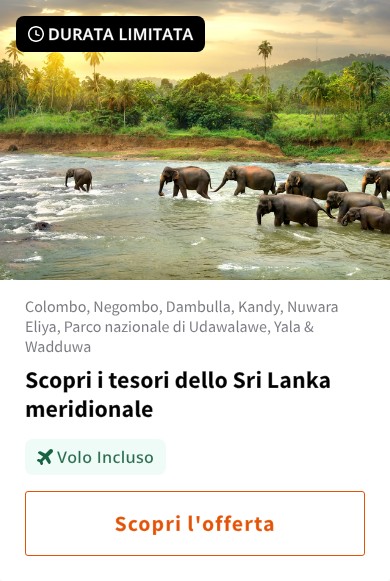 Scopri i tesori dello Sri Lanka meridionale