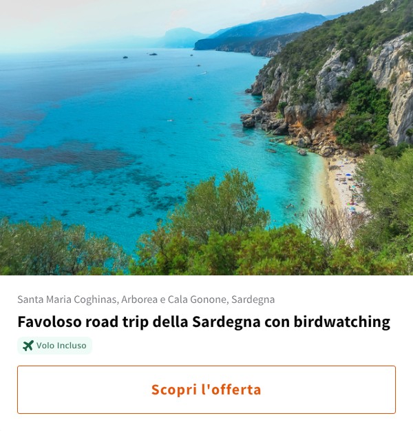 Favoloso road trip della Sardegna con birdwatching