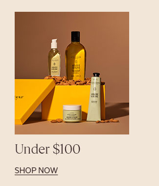 UNDER $100 | SHOP NOW