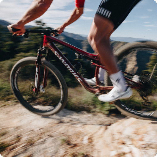 Cyclist riding a red S-Works mountain bike rapidly over a rocky trail in a mountainous landscape, motion-blurred to show speed