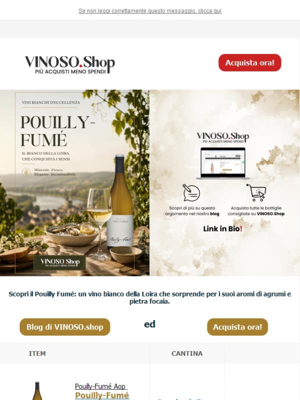 💫 VINOSO | Scopri il Pouilly-Fumé: un vino bianco della Loira
