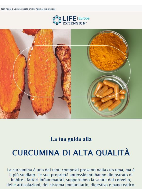 La tua guida alla curcumina di alta qualità