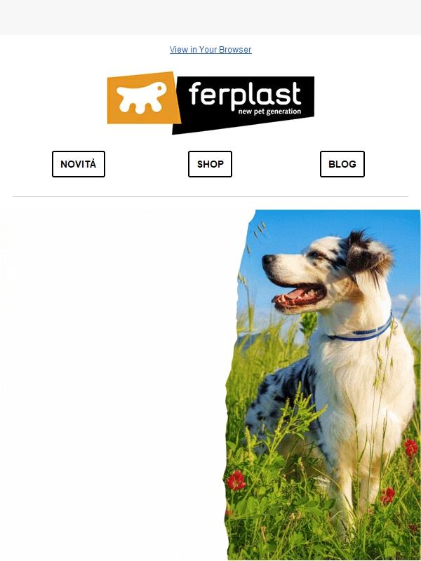 Sconto 15% su tutti i prodotti 🤩