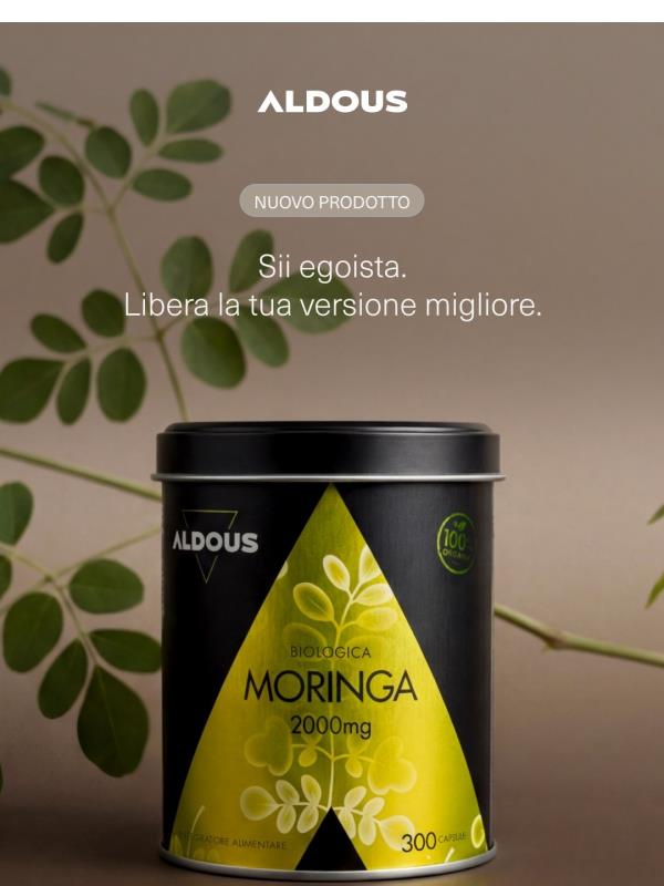 Nuovo prodotto: Moringa 🌿 Preparati a dare di più