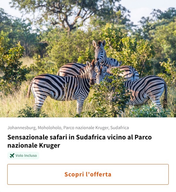 Sensazionale safari in Sudafrica vicino al Parco nazionale Kruger