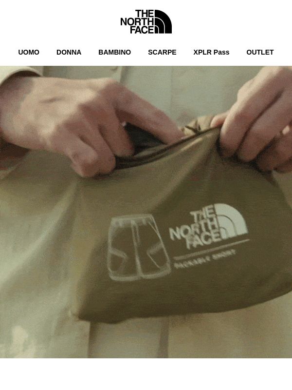 I tuoi nuovi compagni di viaggio