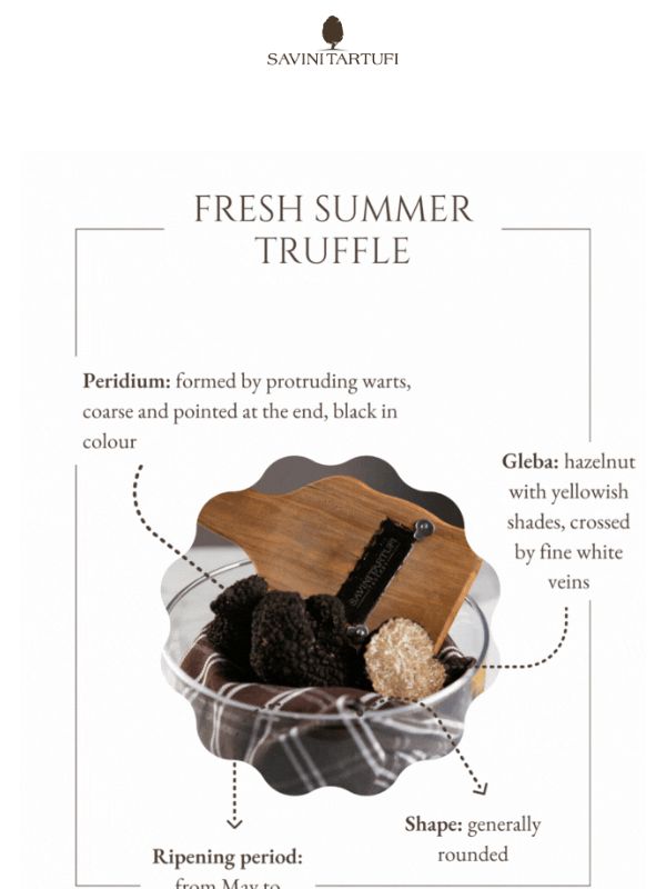 🎉 Fresh truffle now available 🎉