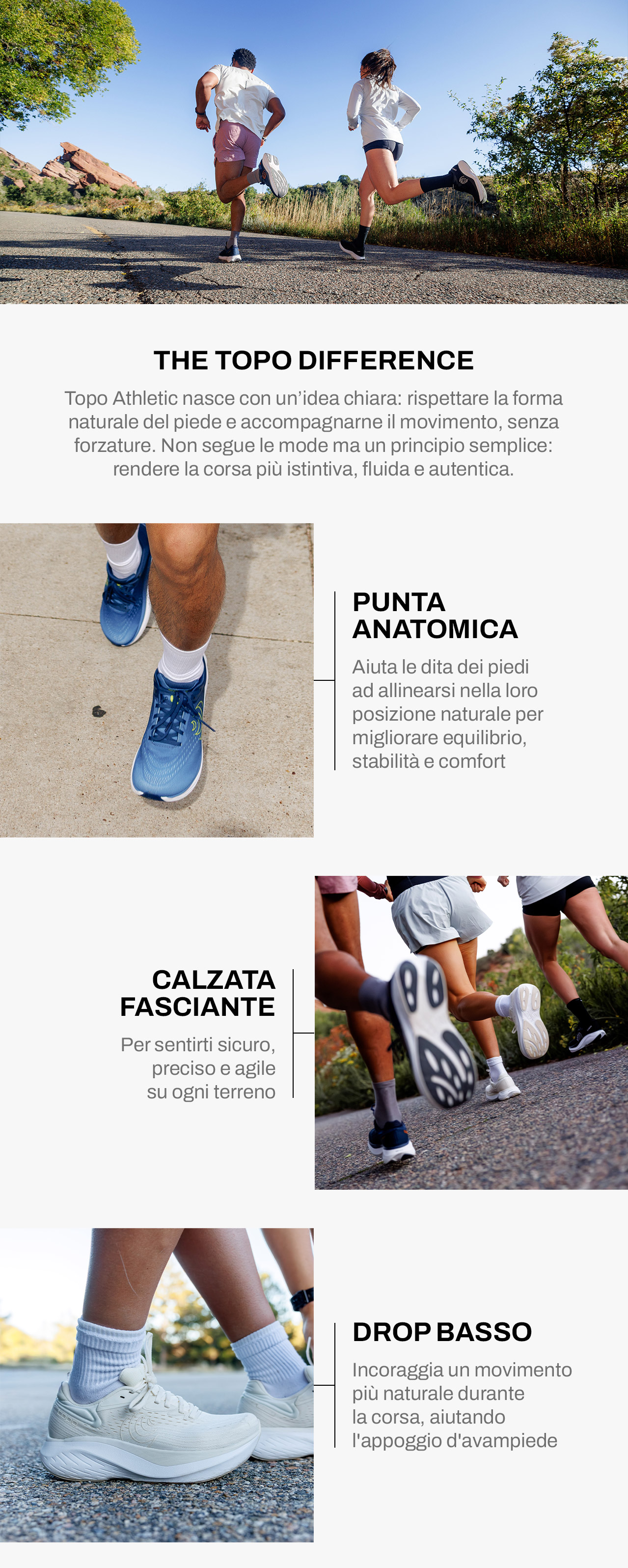 Caratteristiche