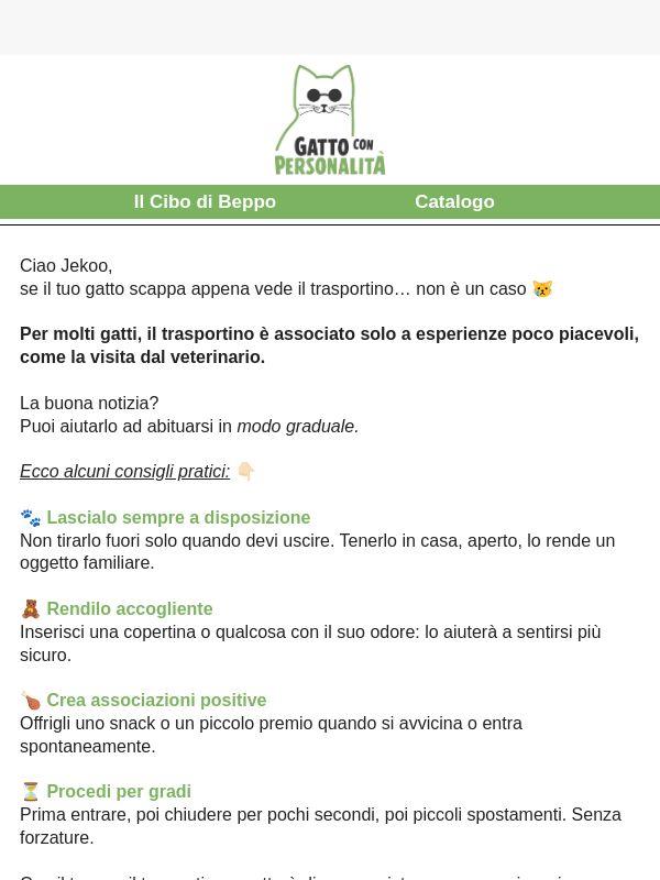 Il tuo gatto ha paura del trasportino?