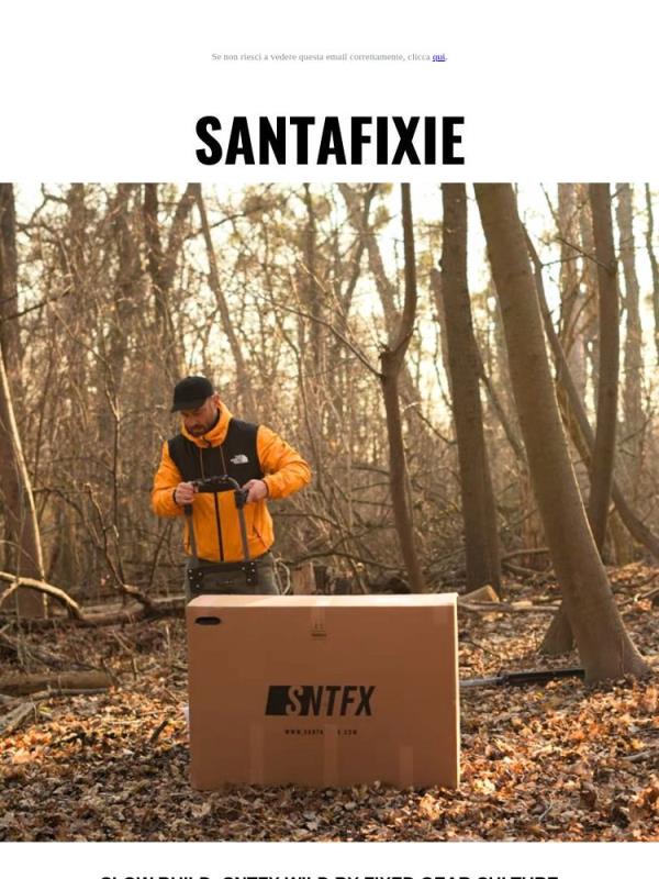 📺 SNTFX Wild Slow Build
