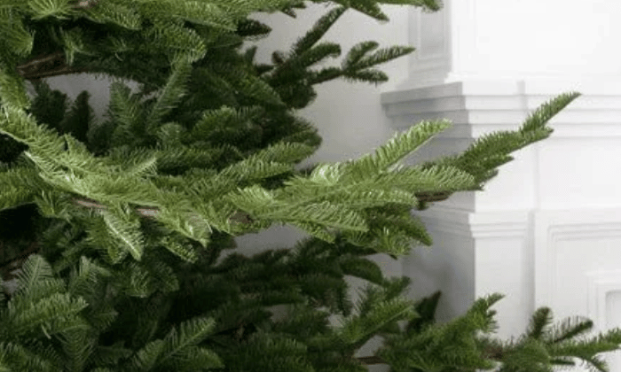 Albero di Natale Rockefeller Xone
