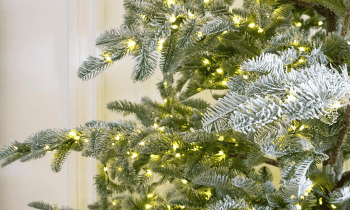 Albero di Natale Rockefeller Led Xone