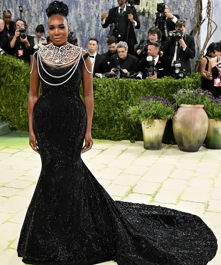 Venus Williams sul red carpet del Met