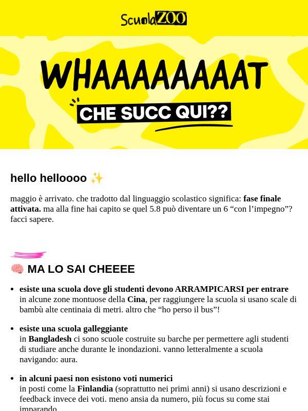 ScuolaZoo Survival Kit #36