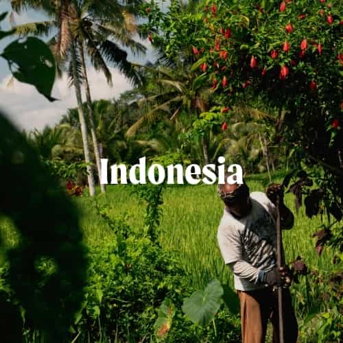 Indonesia