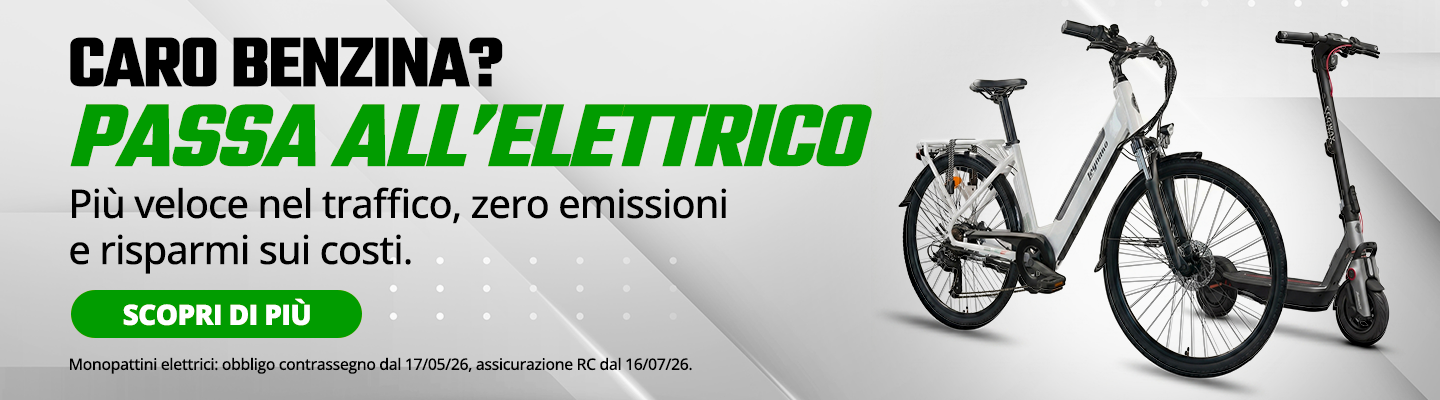 Mobilità elettrica