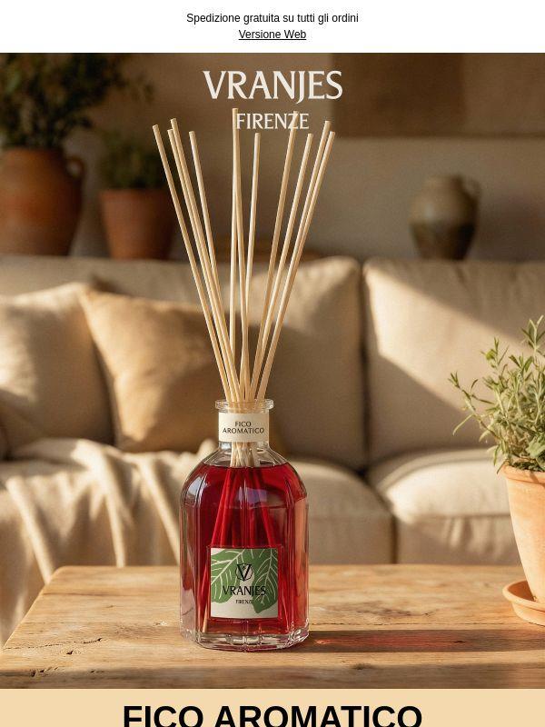 Fico Aromatico