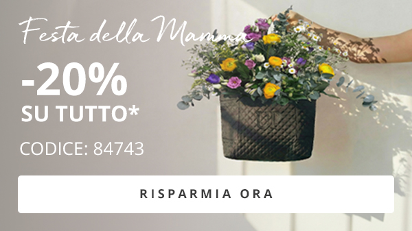 -20% su tutto