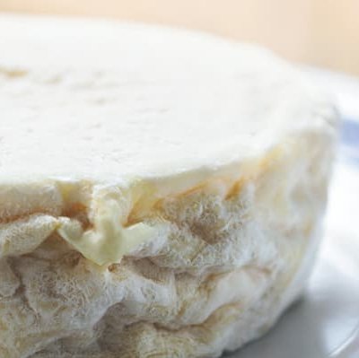 Formaggi freschi