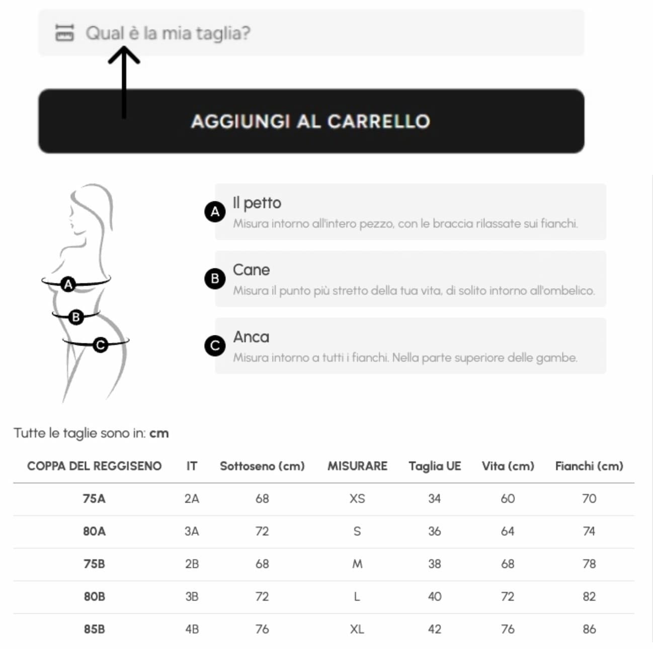 Qual è la mia taglia
