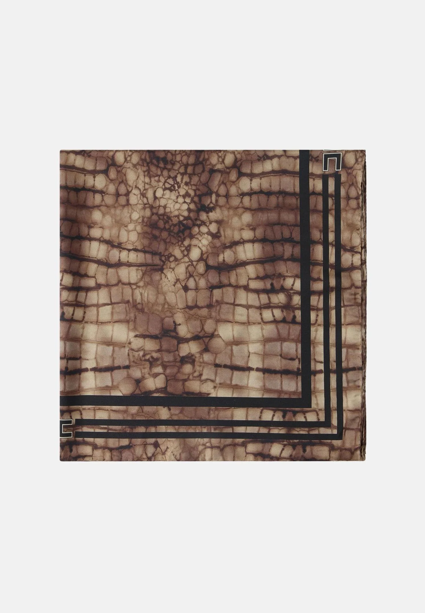 Image of ELISABETTA FRANCHI Foulard quadrato cacao da donna realizzato in twill di seta