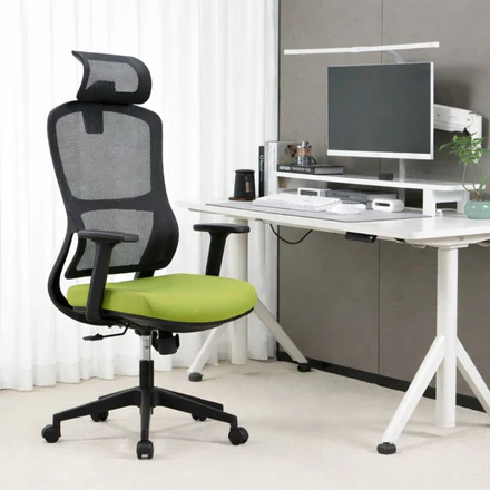 Sedia da Ufficio Professionale Ergonomica con Poggiabraccia e Supporto Lombare