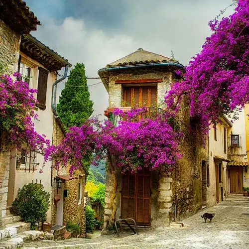 Activity image: Da Nizza: Tour di un giorno della Provenza e dei suoi villaggi medievali