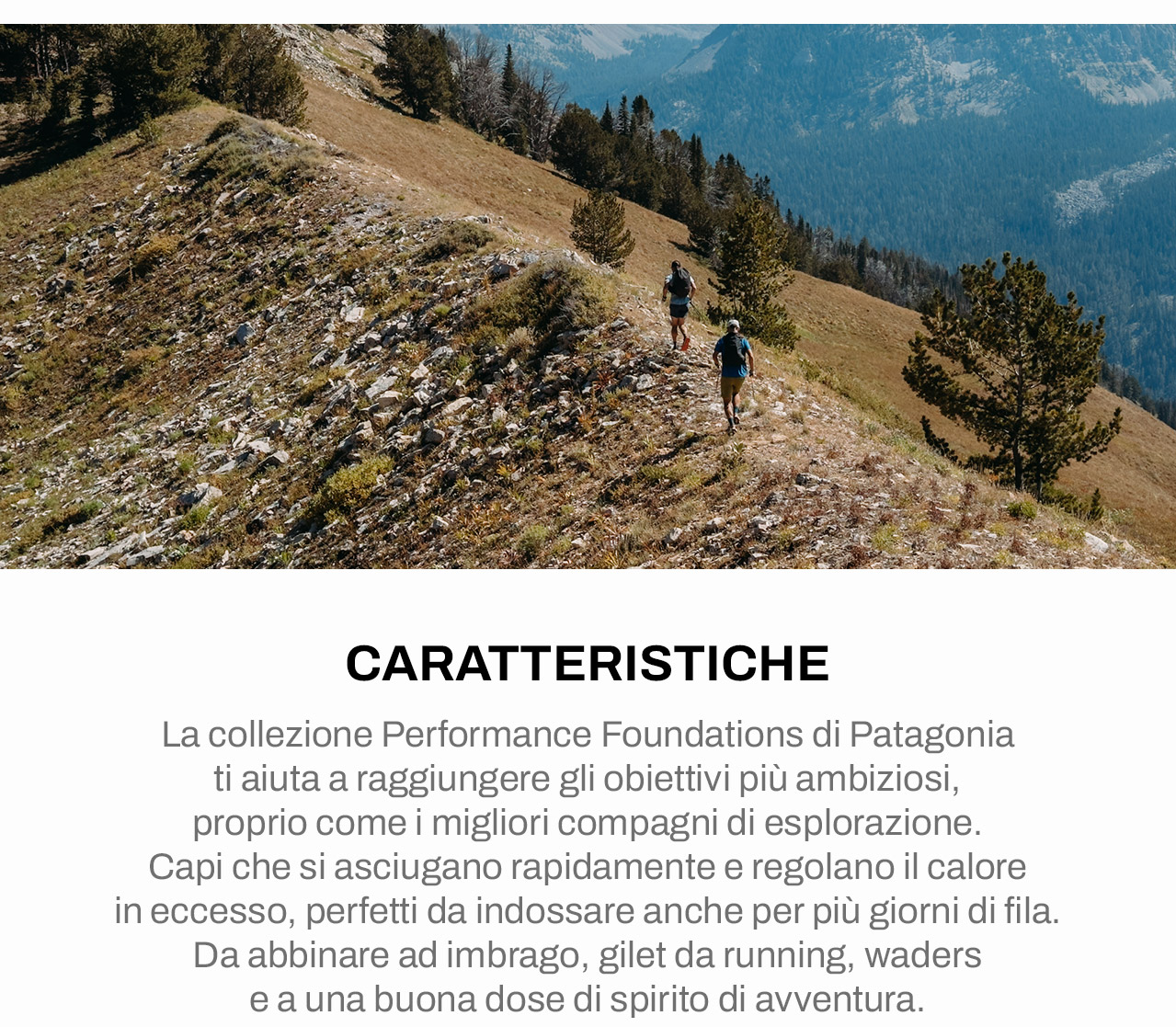 Caratteristiche