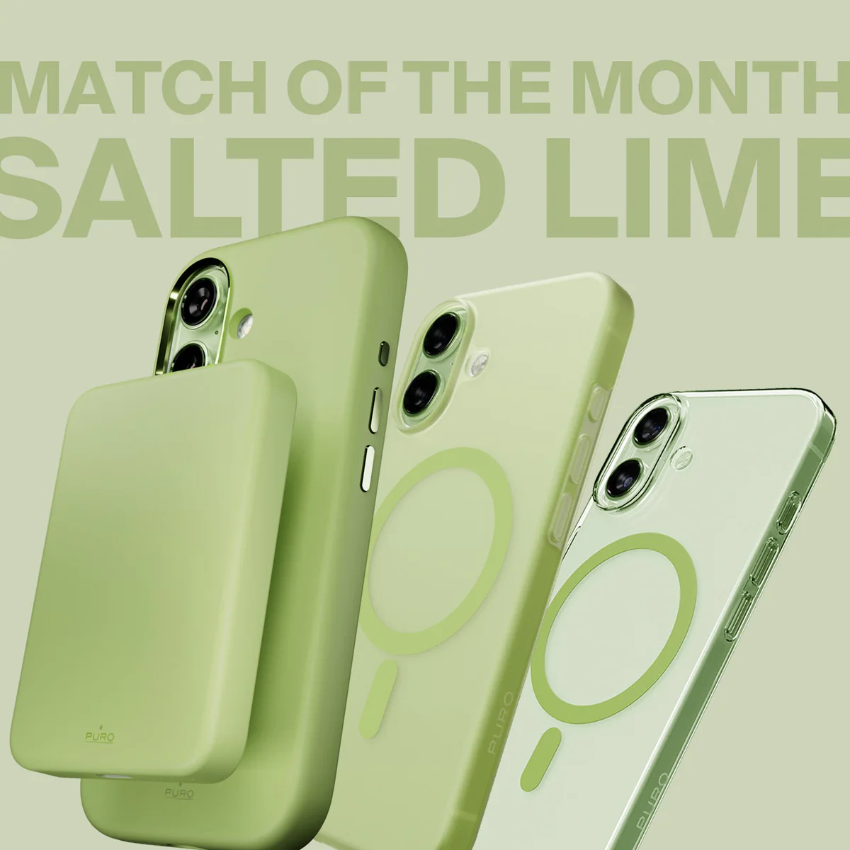 accessori con colore salted lime: