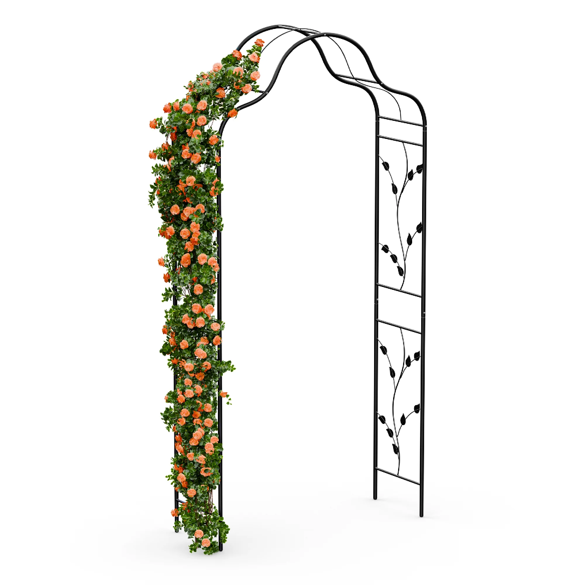 FloraBelle Cupola - Arco per rose