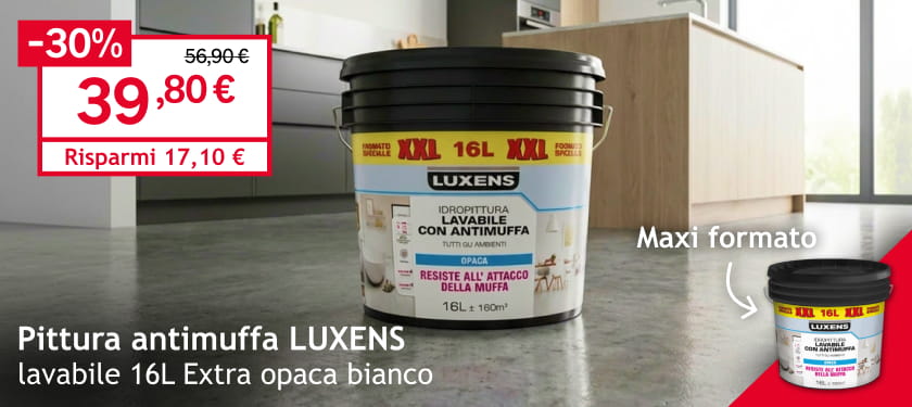 Pittura antimuffa LUXENS  39,80 &euro;