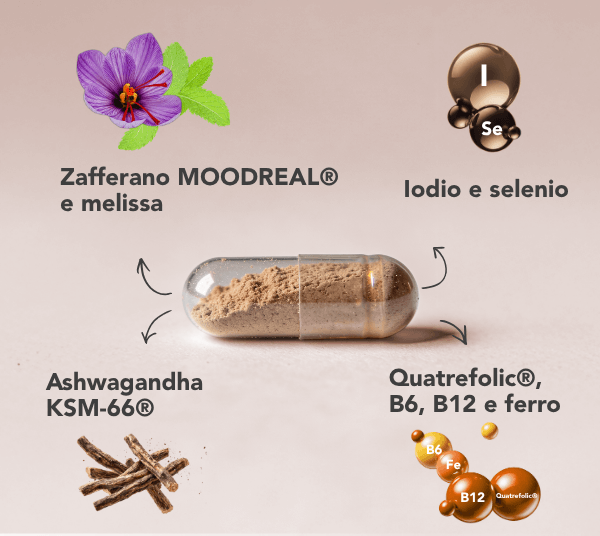 Ingredienti