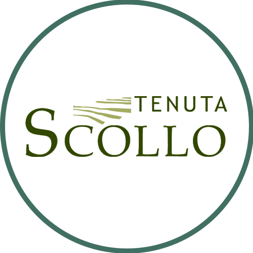 Tenuta Scollo