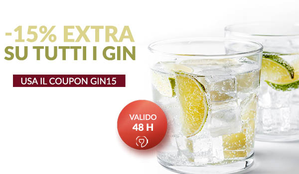 Gin in promo: -15%