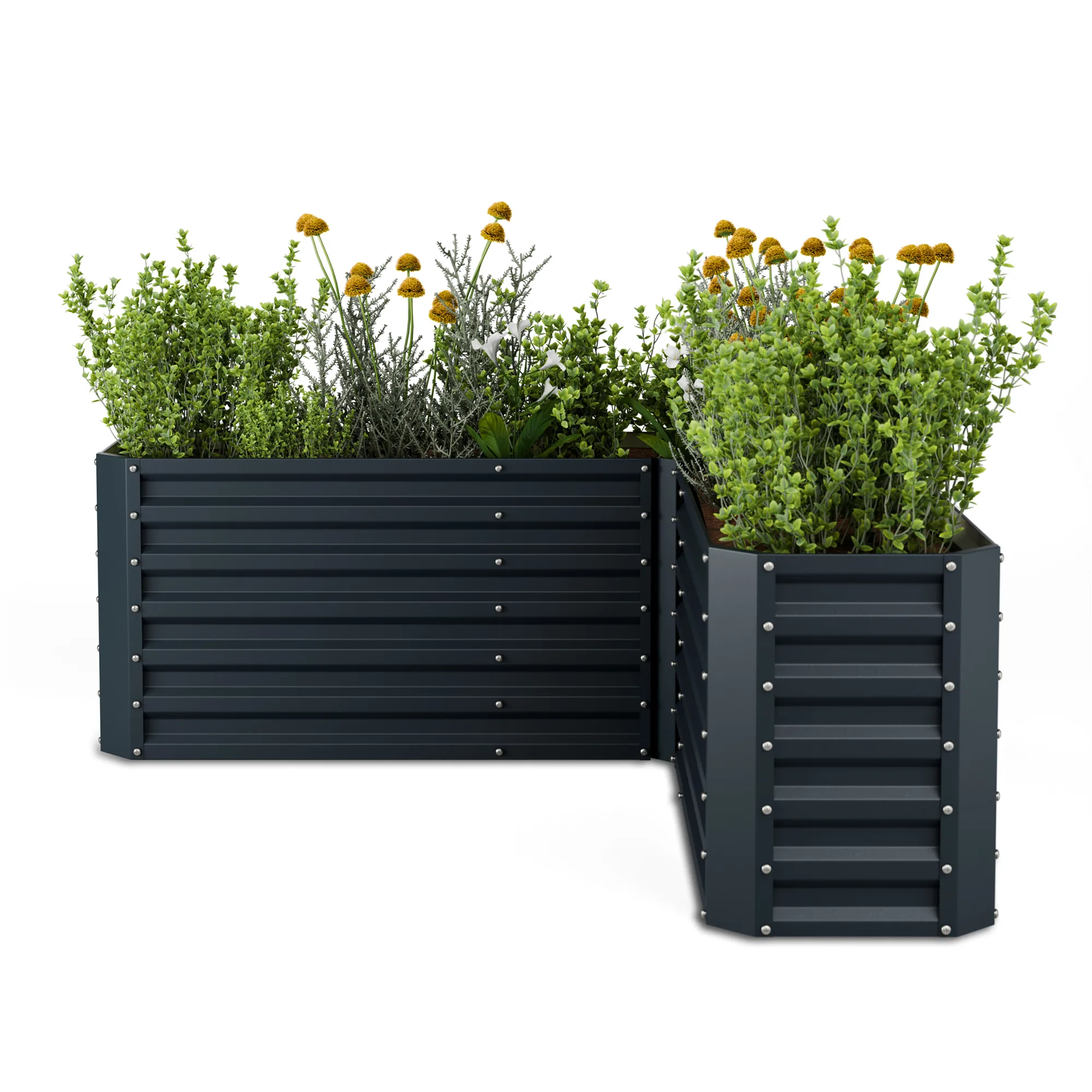 Flexgrow 160x160x60 cm Fioriere rialzate Antracite