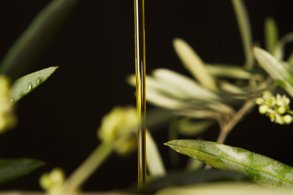Tenuta Scollo: olio EVO con carattere