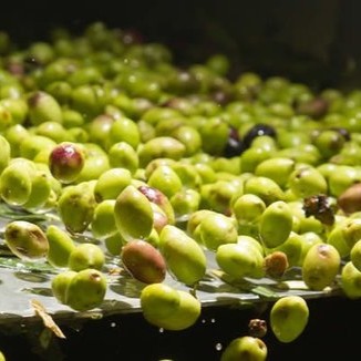 Olio ed aceto