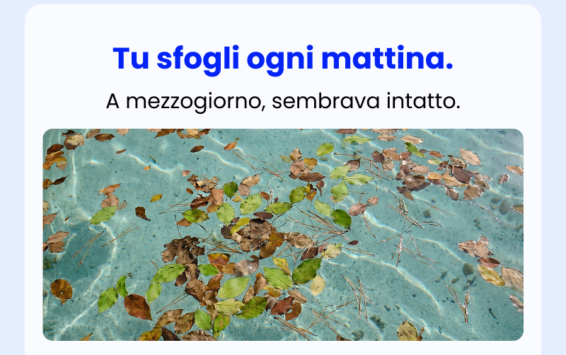 Tu sfogli ogni mattina.