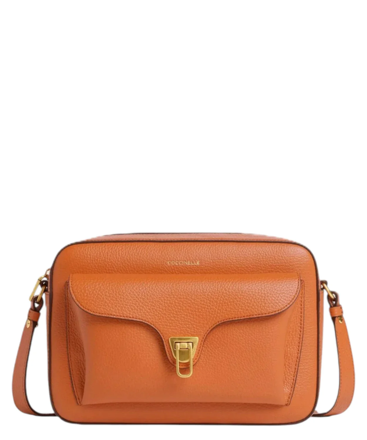 Image of Coccinelle 