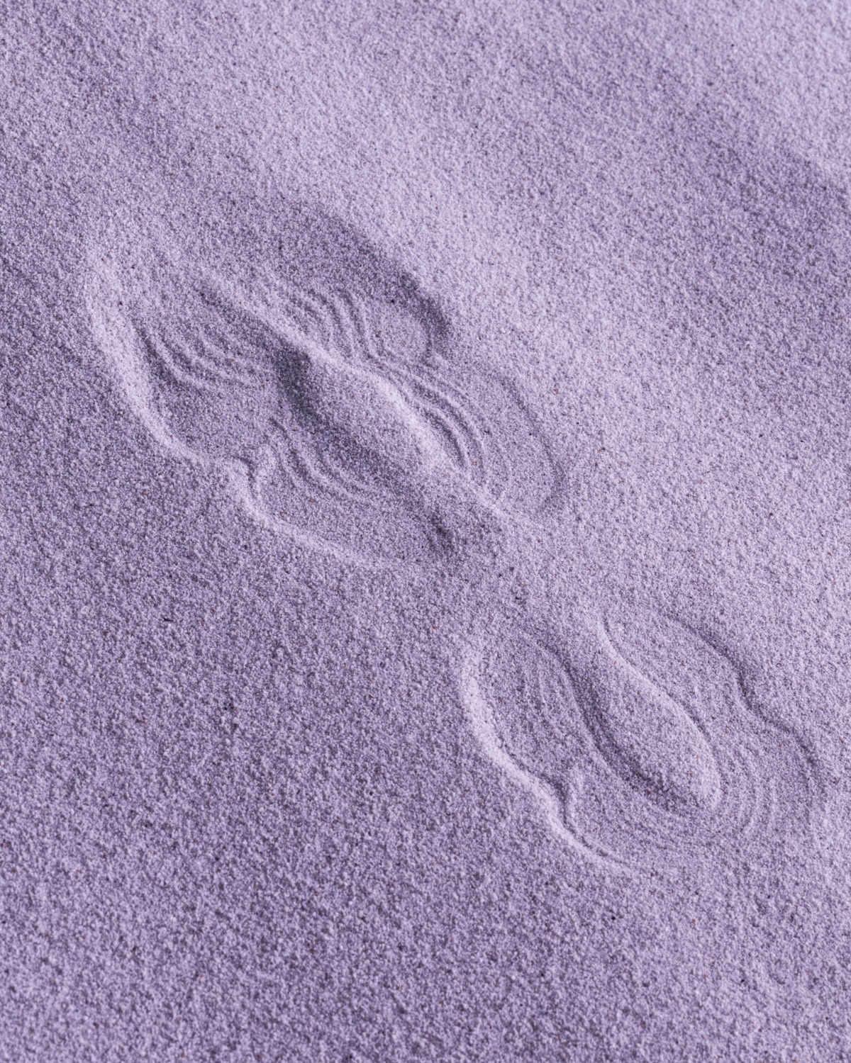 Close-up of paired winding insect tracks in fine lavender sand, showing textured grooves and curved trail patterns