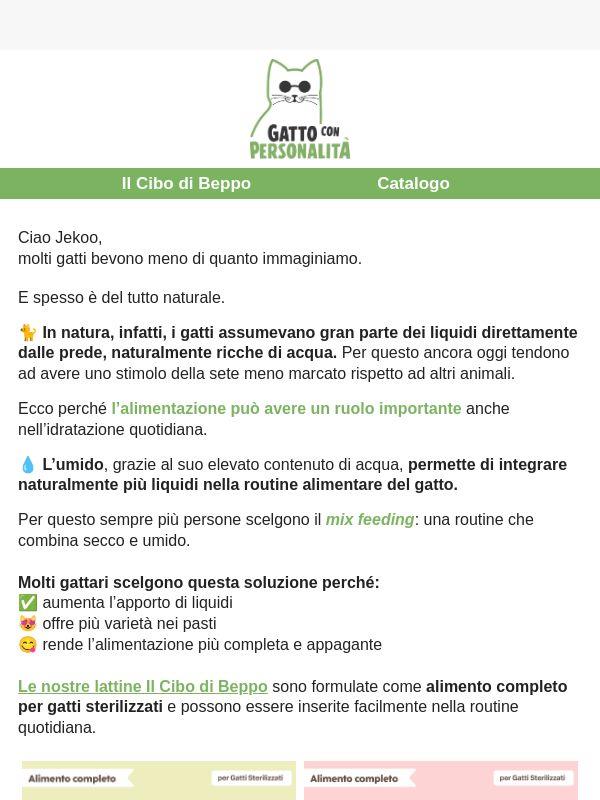 Perché i gatti tendono a bere poco?